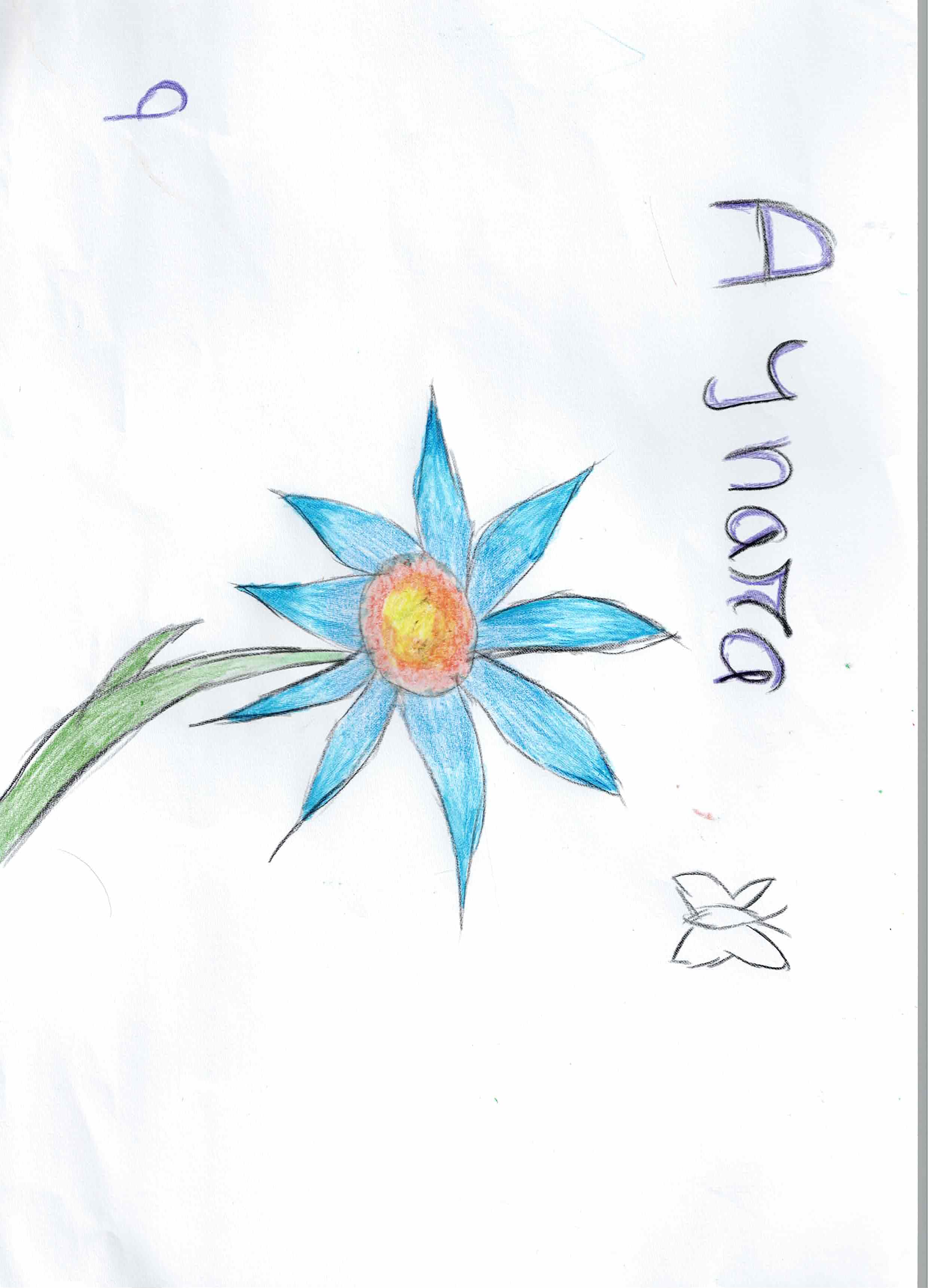 Artwork 14 from the Day of All Pollinators 2026 drawing workshop: flor estrellada azul