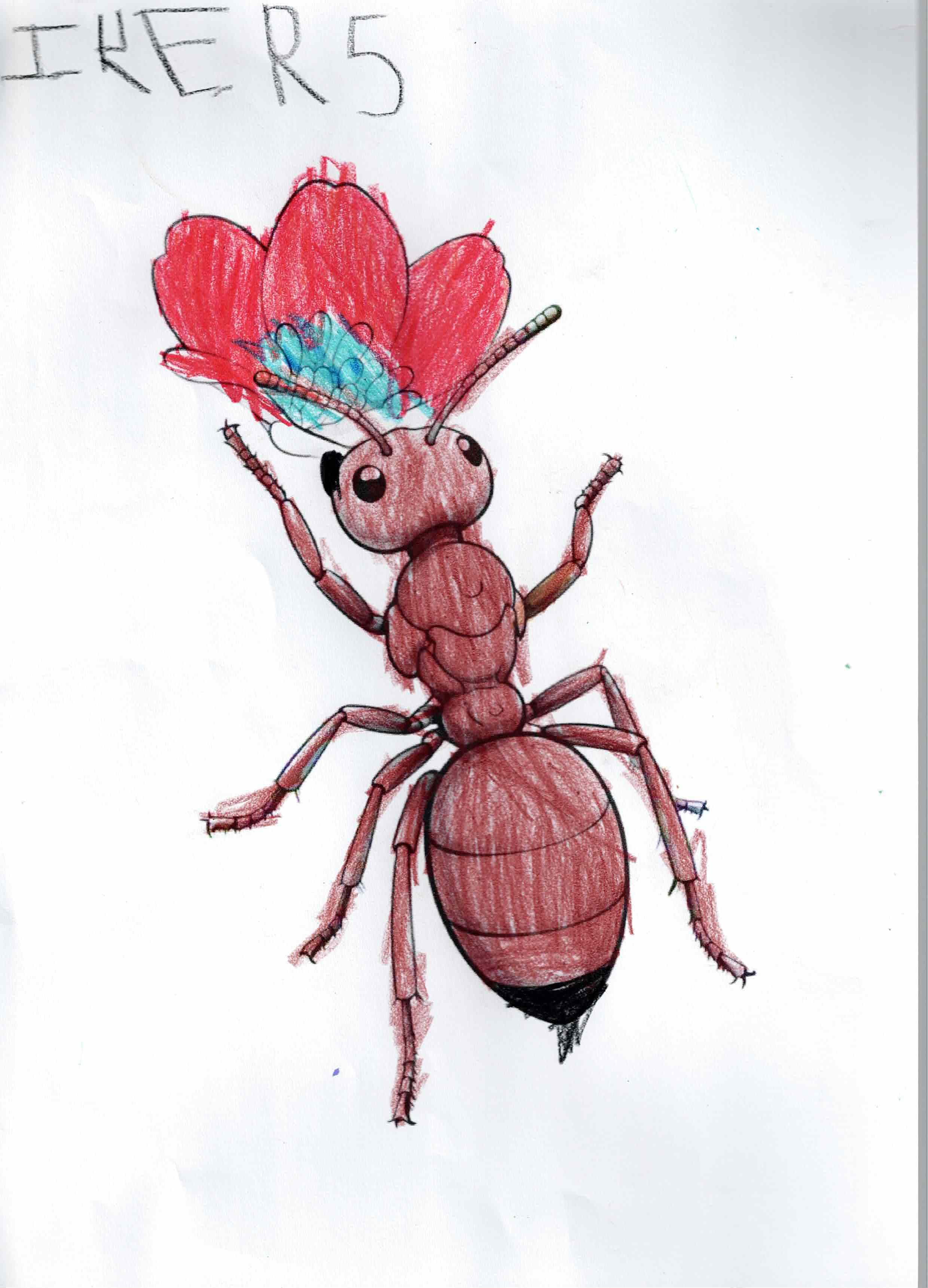 Artwork 20 from the Day of All Pollinators 2026 drawing workshop: hormiga con flor