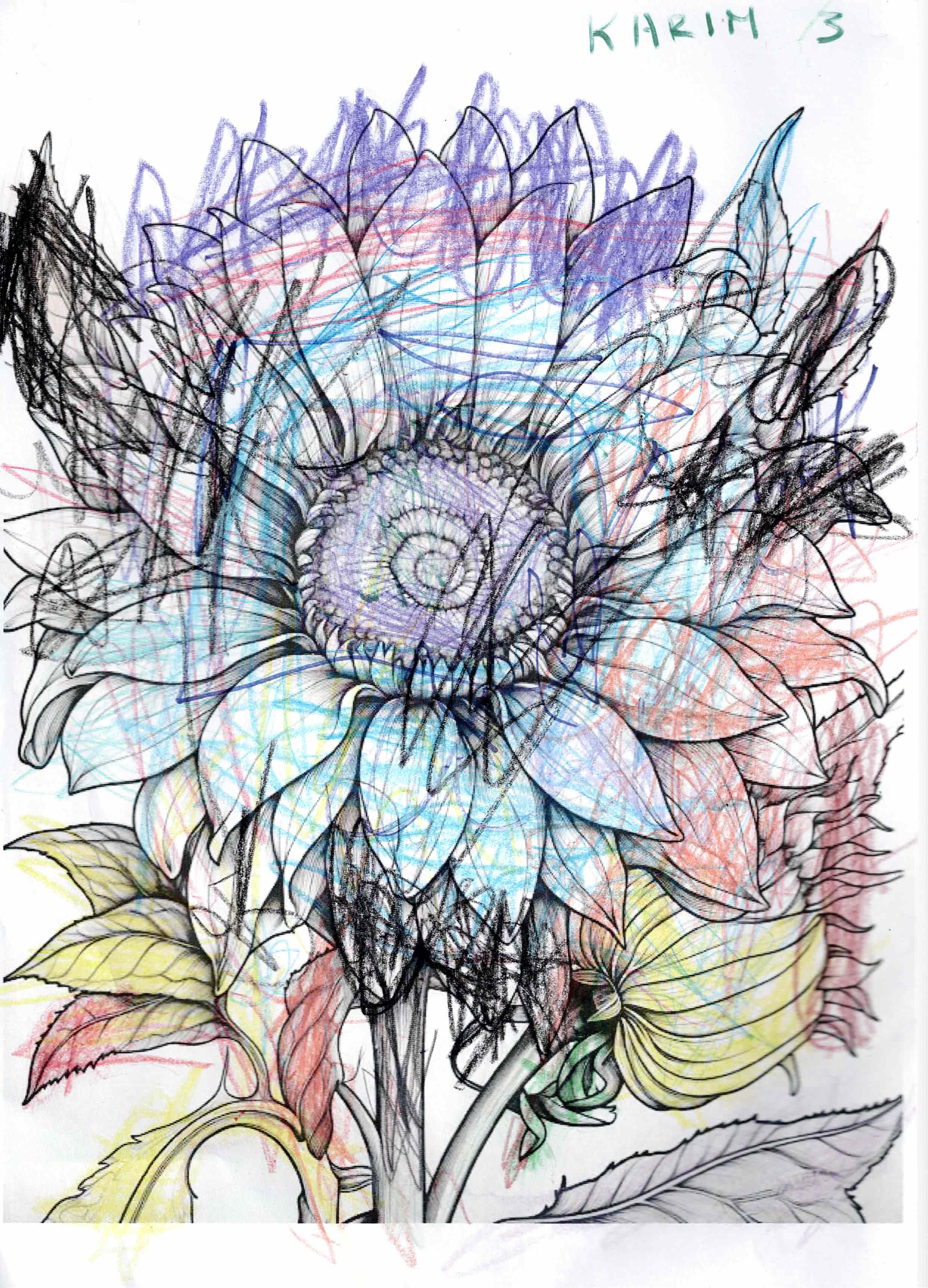 Artwork 23 from the Day of All Pollinators 2026 drawing workshop: girasol (obra viva)