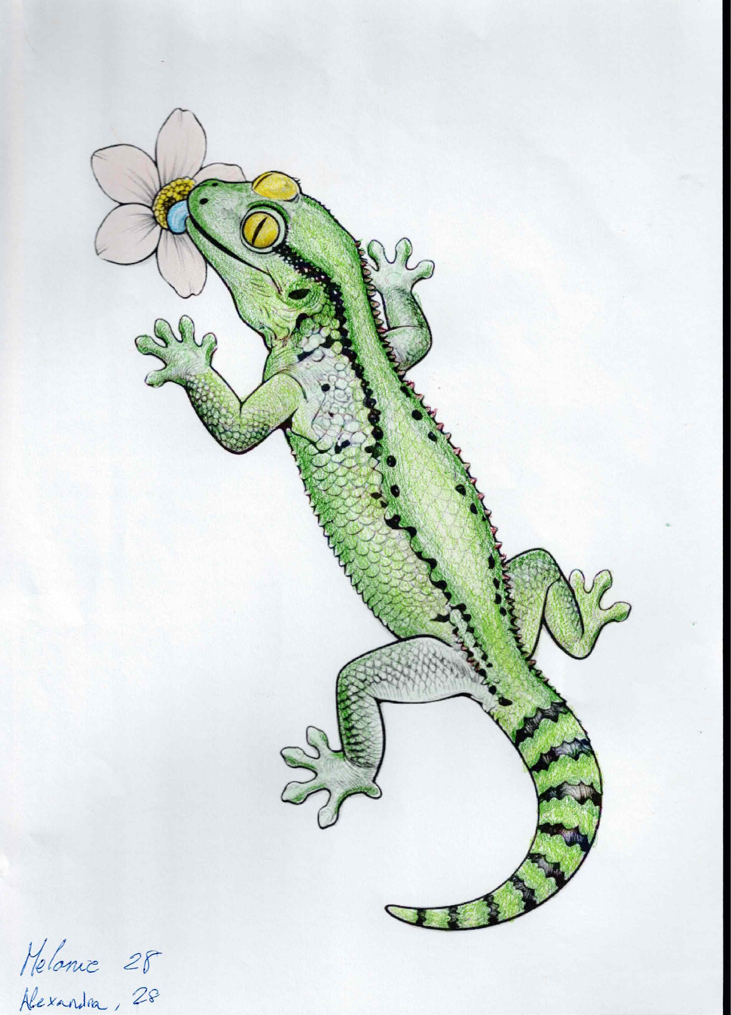 Artwork 29 from the Day of All Pollinators 2026 drawing workshop: geco con flor