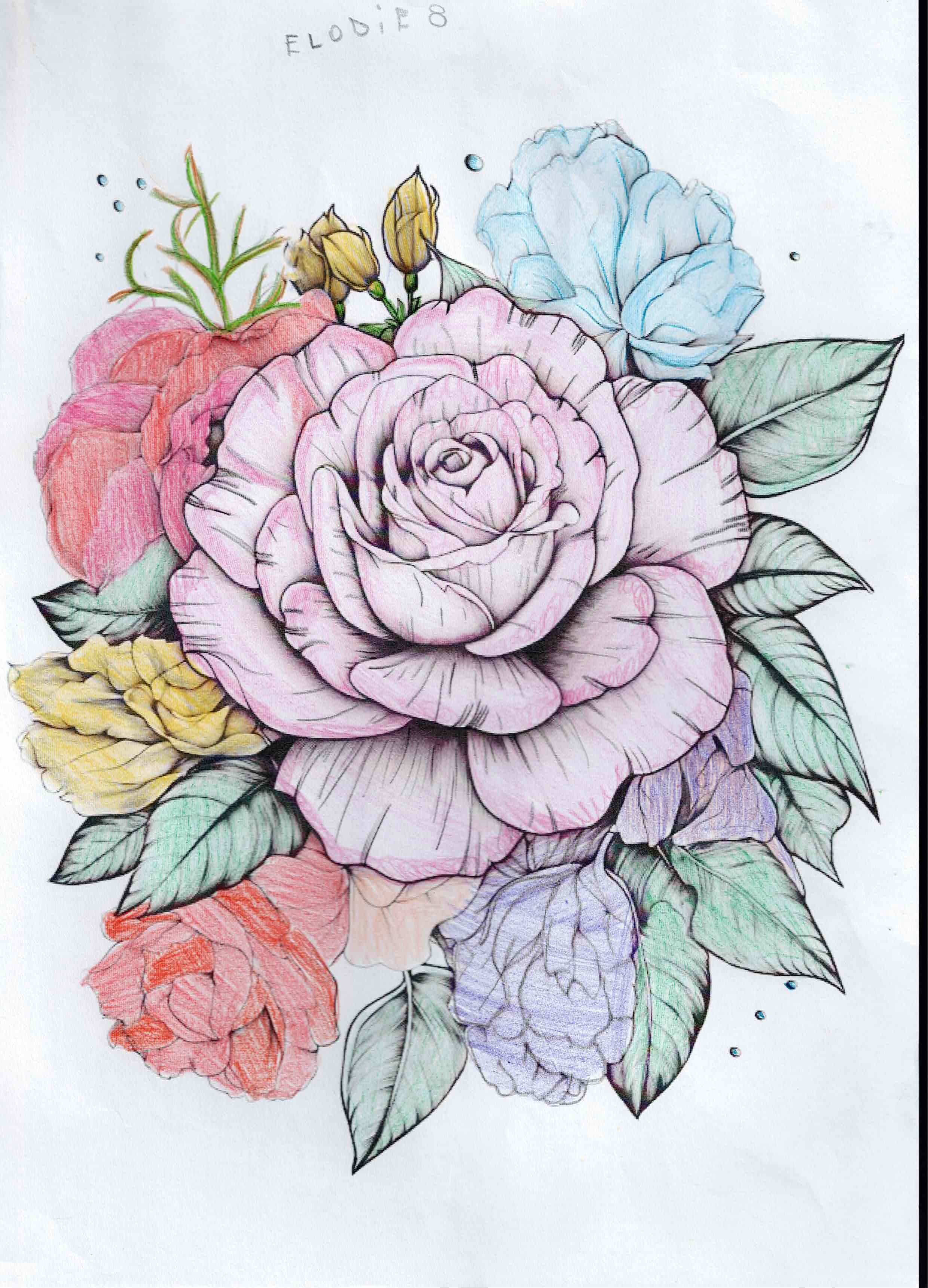 Artwork 30 from the Day of All Pollinators 2026 drawing workshop: ramo de rosas