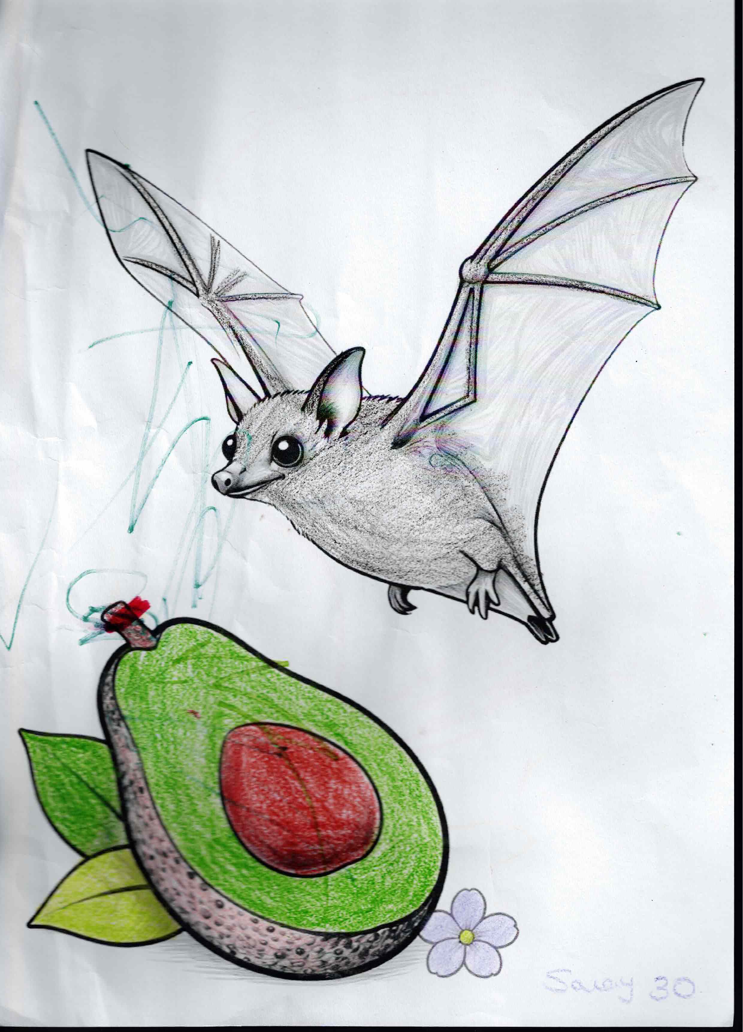 Artwork 32 from the Day of All Pollinators 2026 drawing workshop: murcielago y aguacate