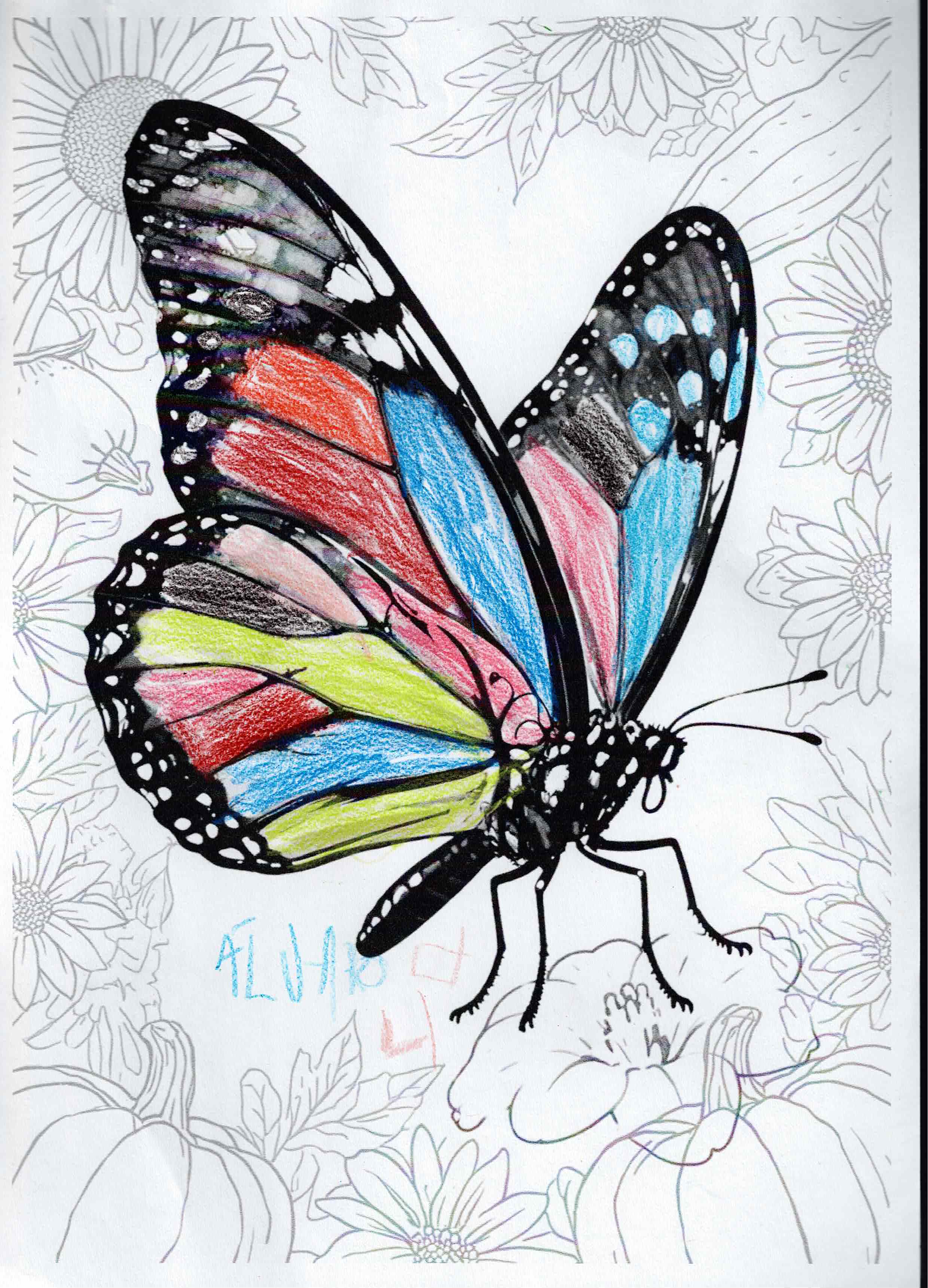 Artwork 38 from the Day of All Pollinators 2026 drawing workshop: mariposa monarca
