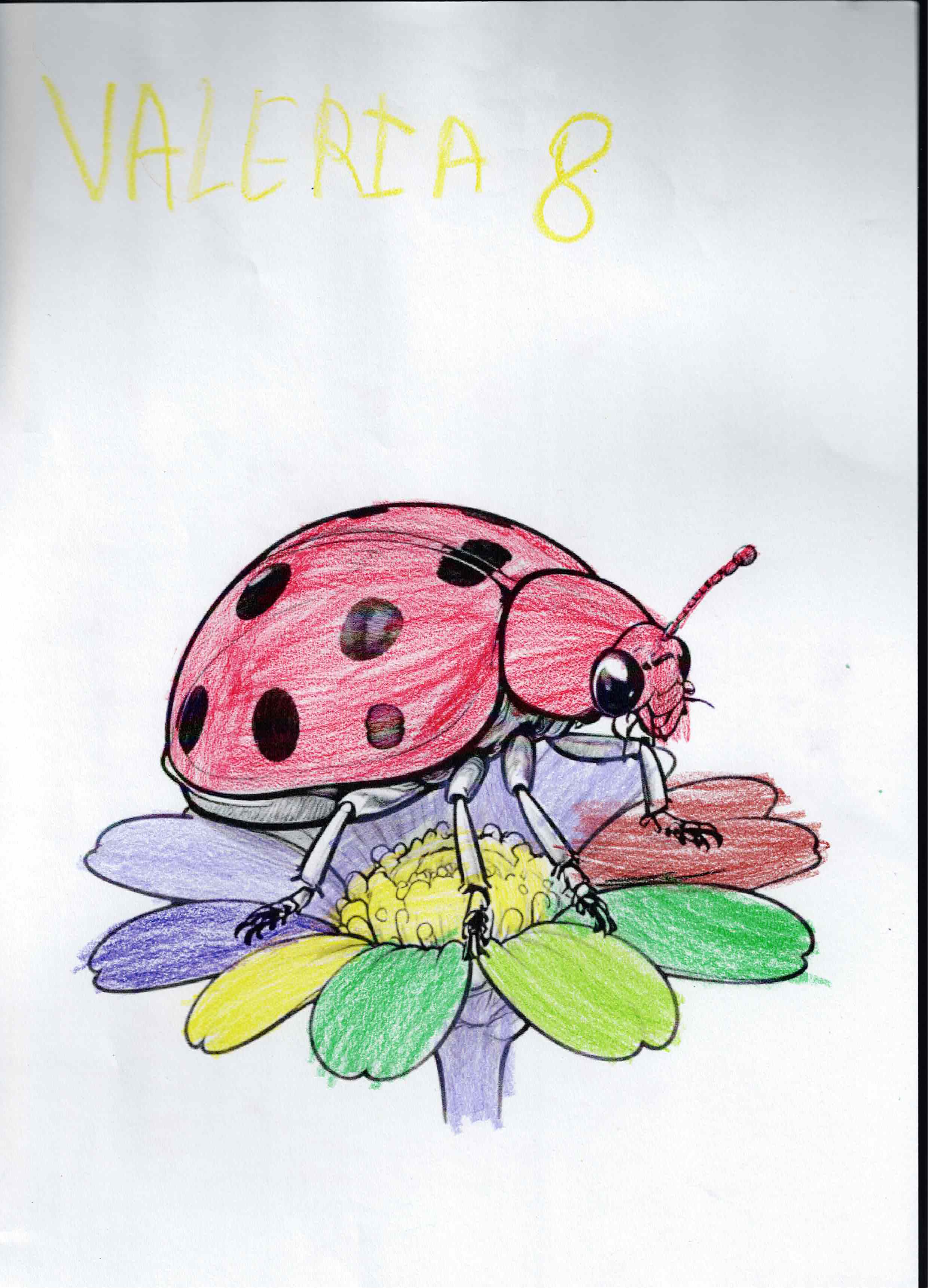 Artwork 39 from the Day of All Pollinators 2026 drawing workshop: mariquita sobre flor