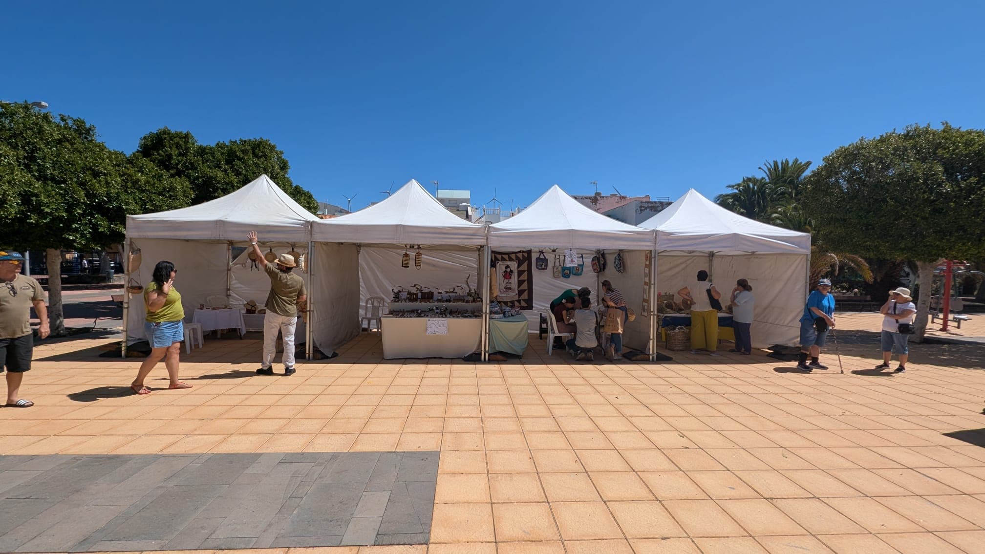 Additional event photo 19 from the Day of All Pollinators 2026 in La Blanca